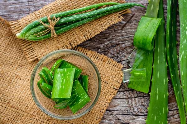 Nha đam có nhiều dưỡng chất làm đẹp da hiệu quả