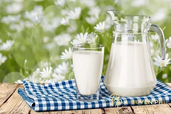 cách bảo quản sữa tươi không đường để rửa mặt