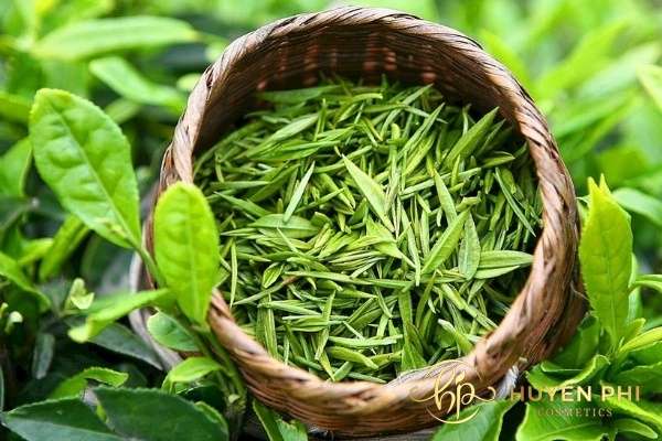 Ngâm chân trong nước trà xanh giúp da vùng chân luôn sạch mùi