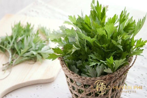 Nước lá ngải cứu khử mùi hôi cho chân luôn khô thoáng