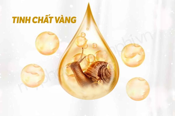 6 sự thật thú vị về dịch nhầy ốc sên