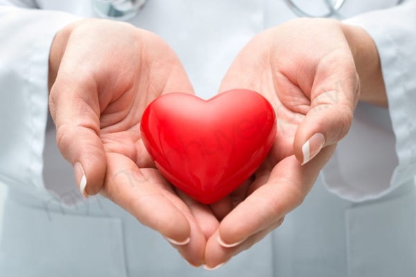 Sự thật về Sâm Tố Nữ - Thần dược "hồi xuân" đang được săn lùng