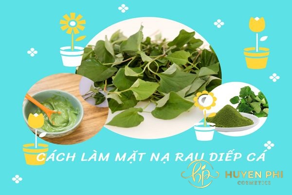 11 cách làm mặt nạ rau diếp cá đơn giản, hiệu quả