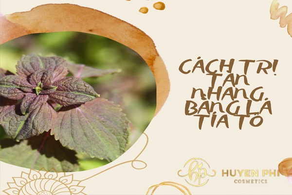 8 Cách trị tàn nhang bằng lá tía tô theo dân gian đơn giản nhất