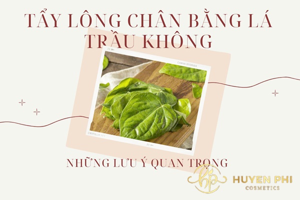 4 cách triệt lông bằng lá trầu không hiệu quả tại nhà