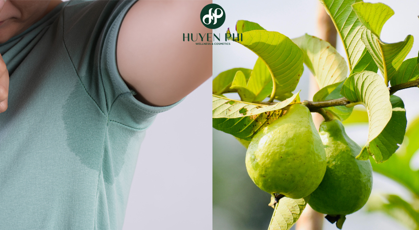 Cách trị hôi nách bằng lá ổi hiệu quả tại nhà