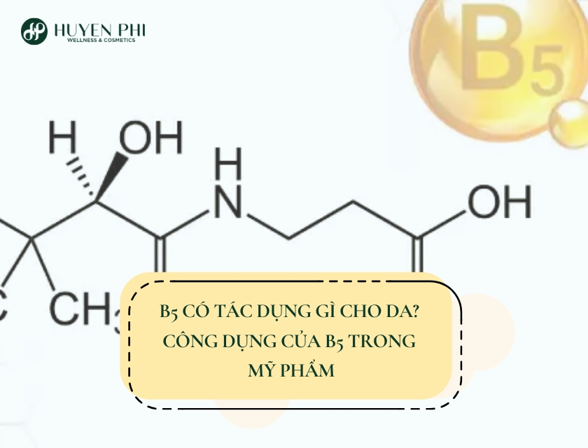 b5 có tác dụng gì