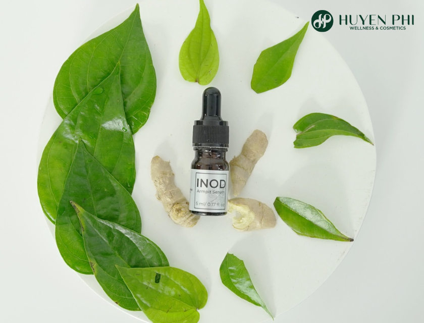 Cach Giam Mo Hoi Nach 4