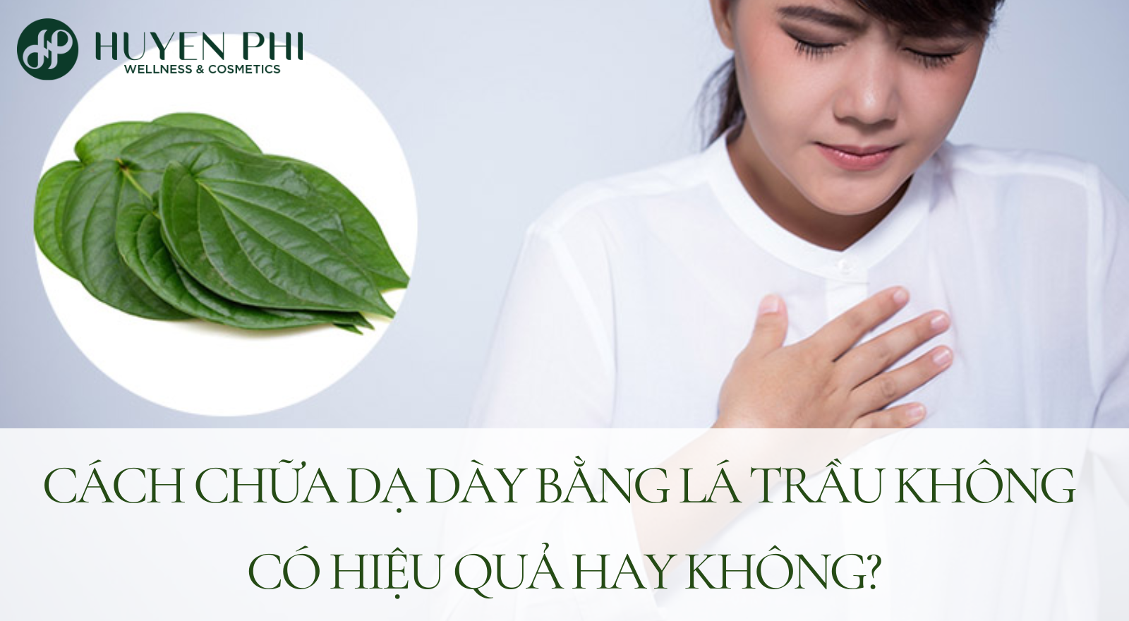 Cách chữa trào ngược dạ dày bằng lá trầu không có hiệu quả?
