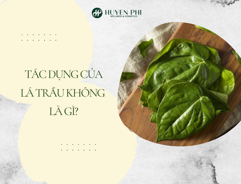 Tac Dung Cua La Trau Khong 2