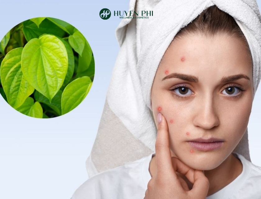 Tac Dung Cua La Trau Khong 5