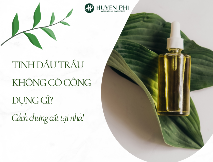 Tinh Dau Trau Khong 2