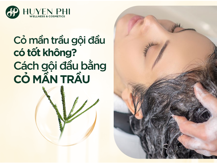 Co Man Trau Goi Dau 1