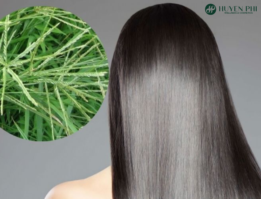 Co Man Trau Goi Dau 3