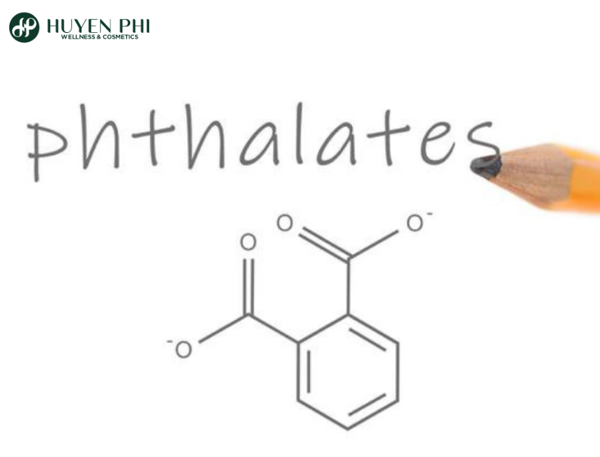 Phthalate La Gi 2
