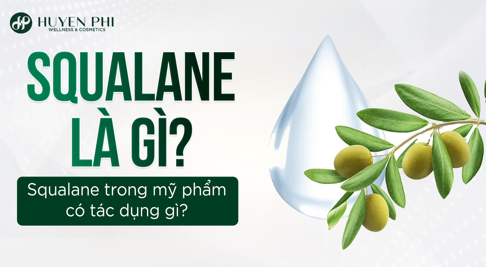 Squalane là gì? Squalane trong mỹ phẩm có tác dụng gì?