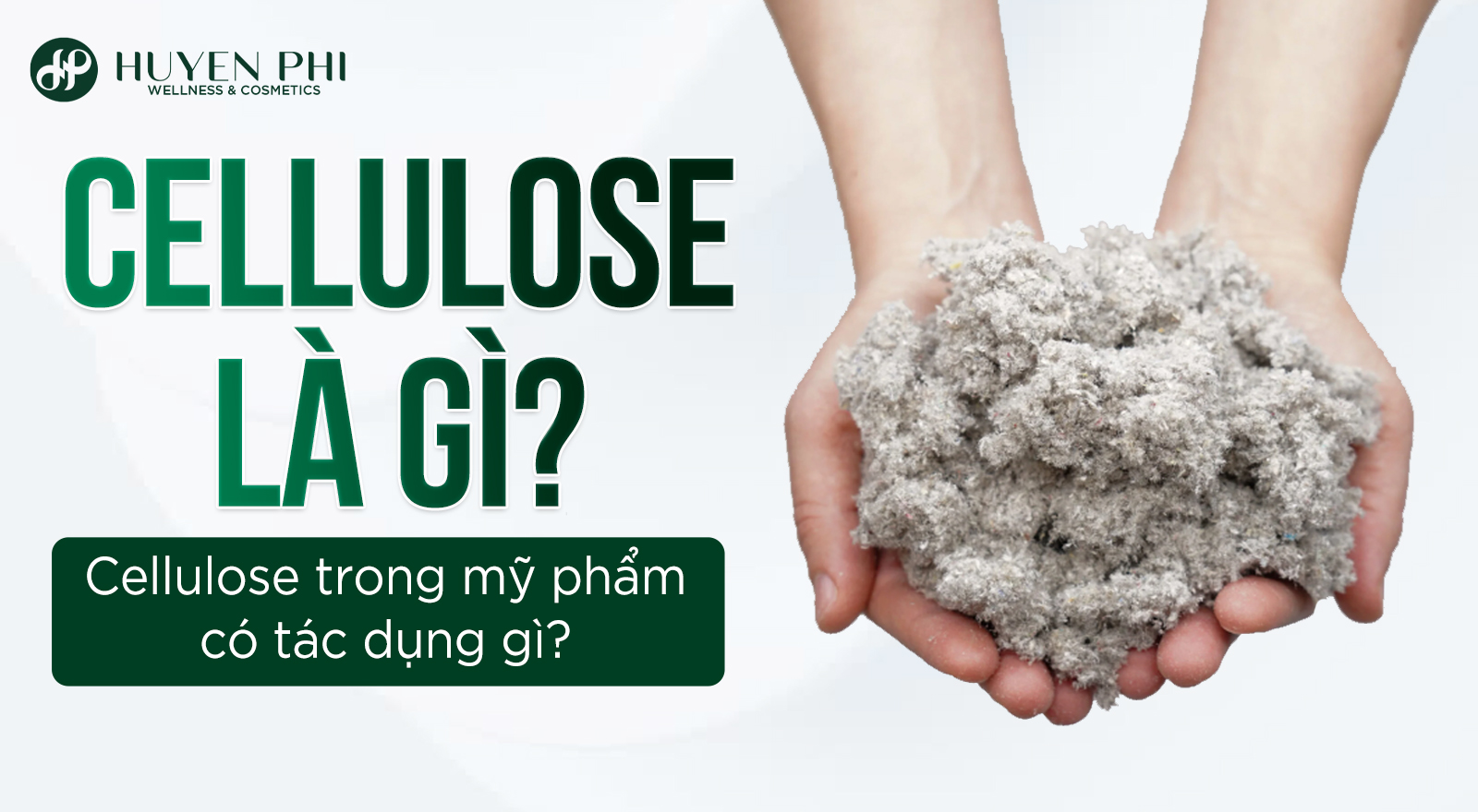 Cellulose là gì? Cellulose trong mỹ phẩm có tác dụng gì?