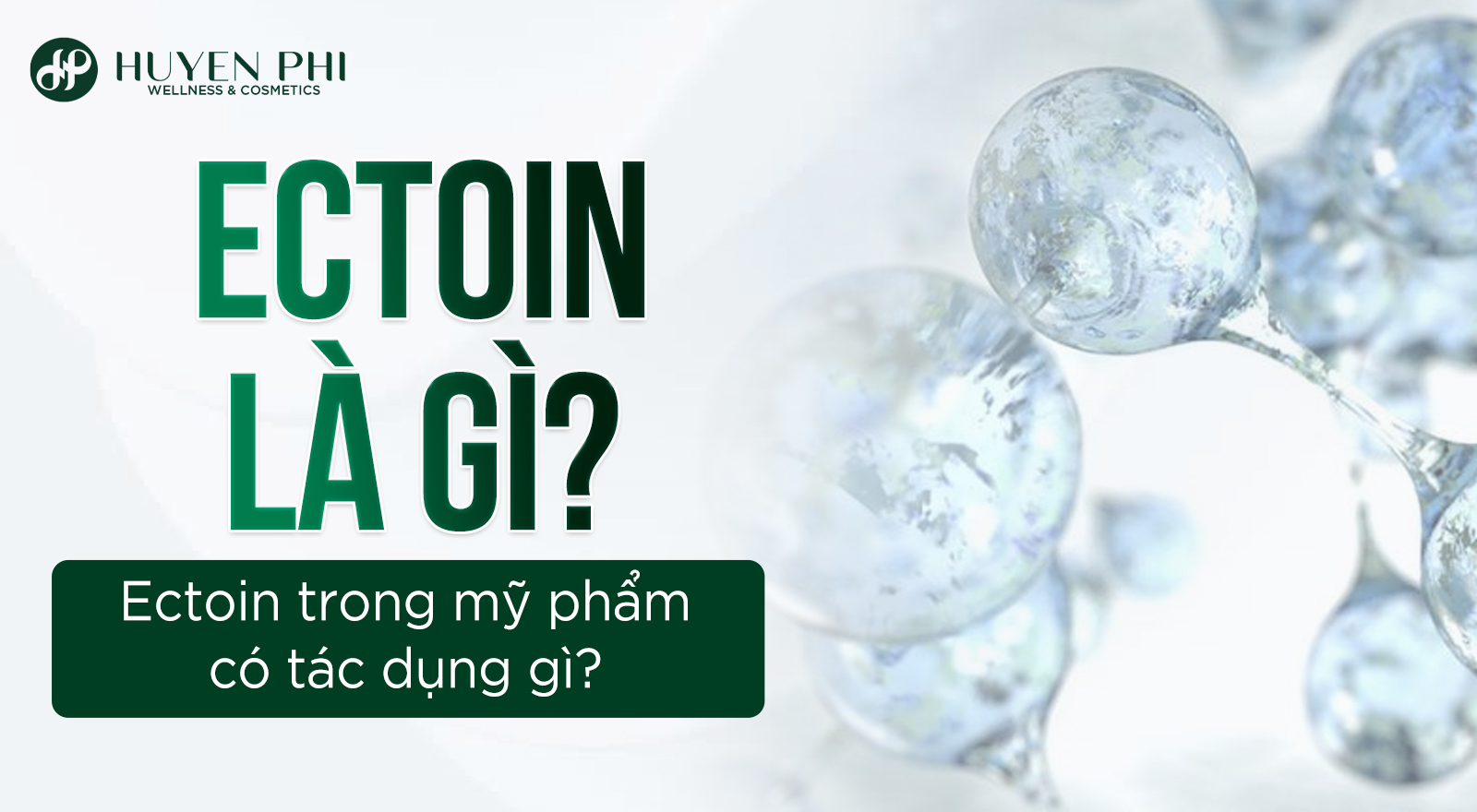 Ectoin là gì? Ectoin trong mỹ phẩm có tác dụng gì?