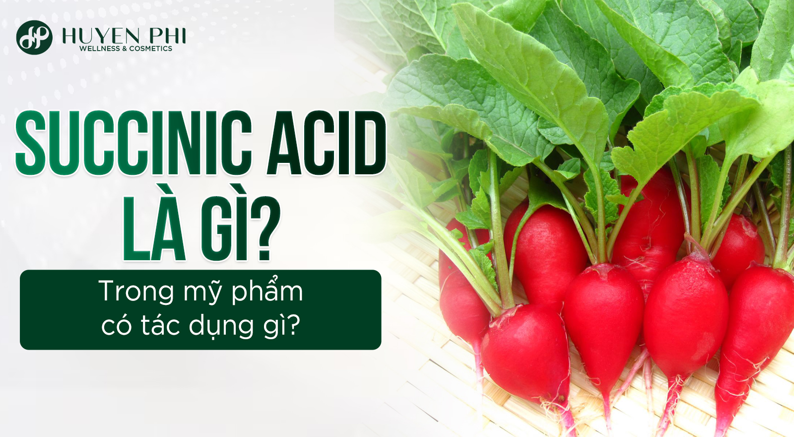 Succinic Acid là gì? Trong mỹ phẩm có tác dụng gì?