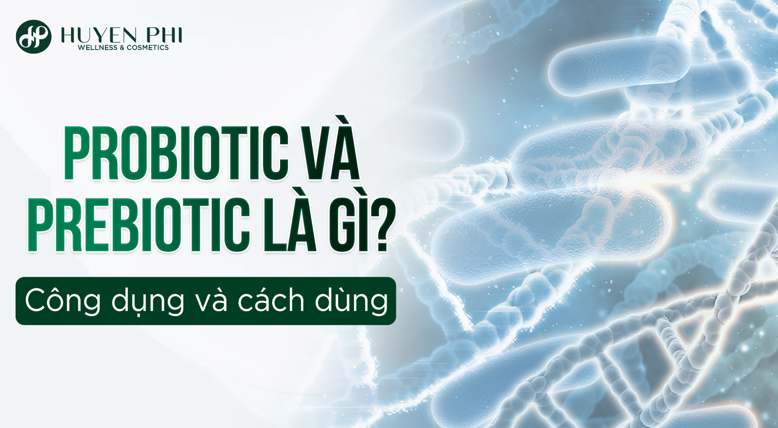 Probiotic và Prebiotic là gì? Công dụng và cách dùng