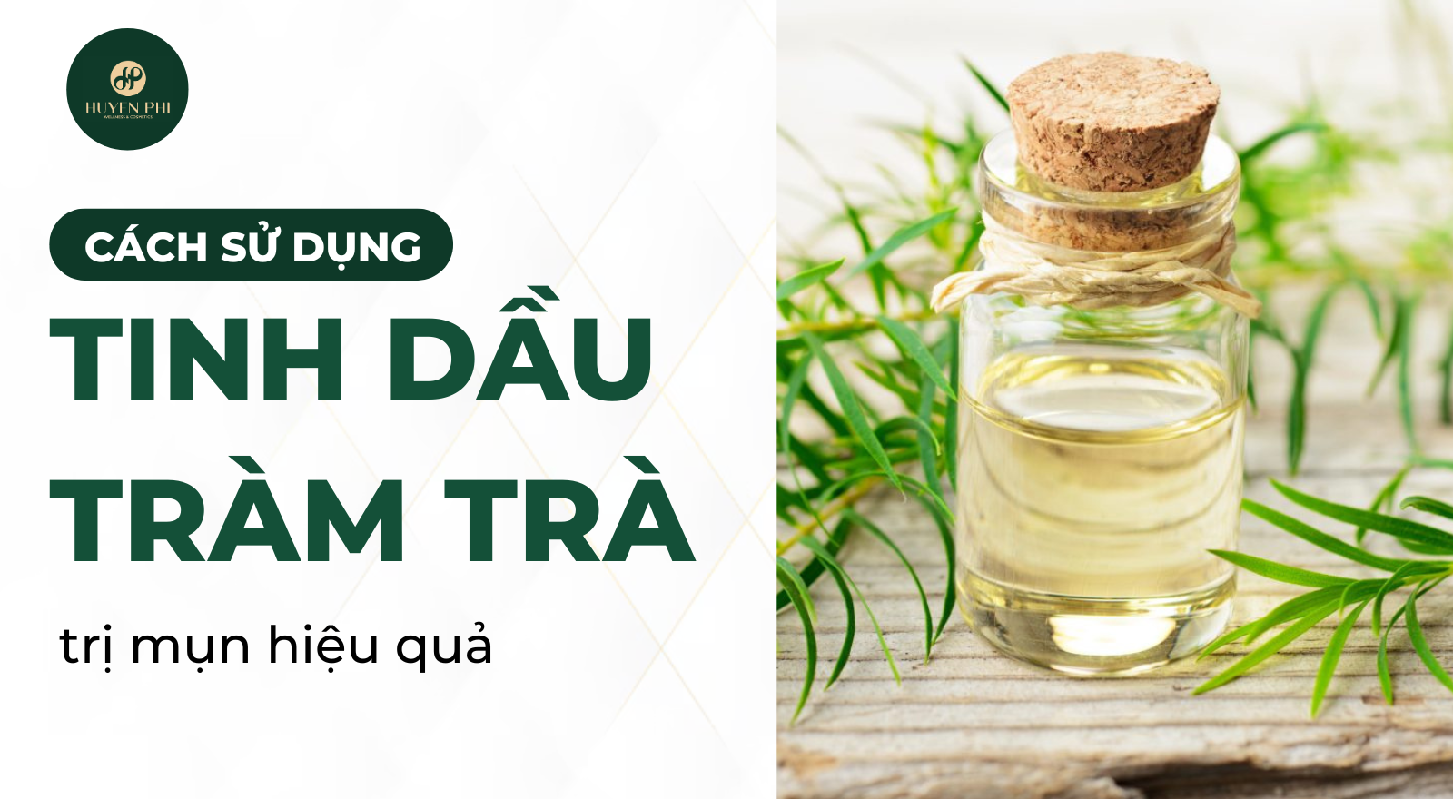 Cách sử dụng tinh dầu tràm trà trị mụn hiệu quả