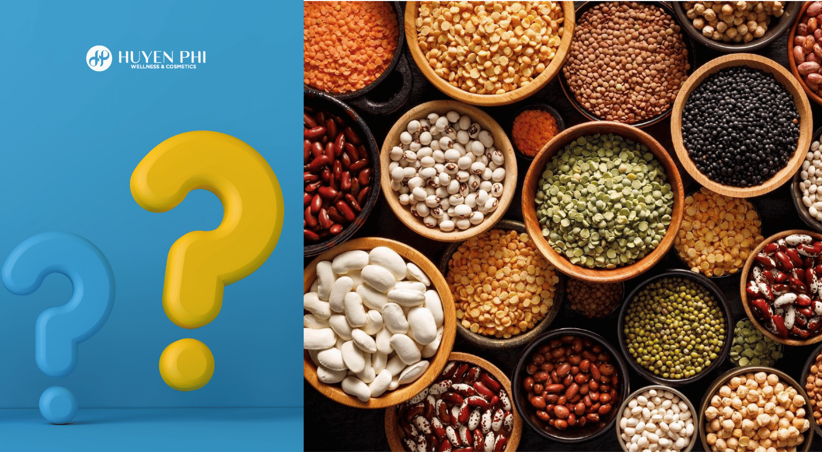 Các loại hạt giàu protein – Loại hạt nào chứa nhiều protein nhất?