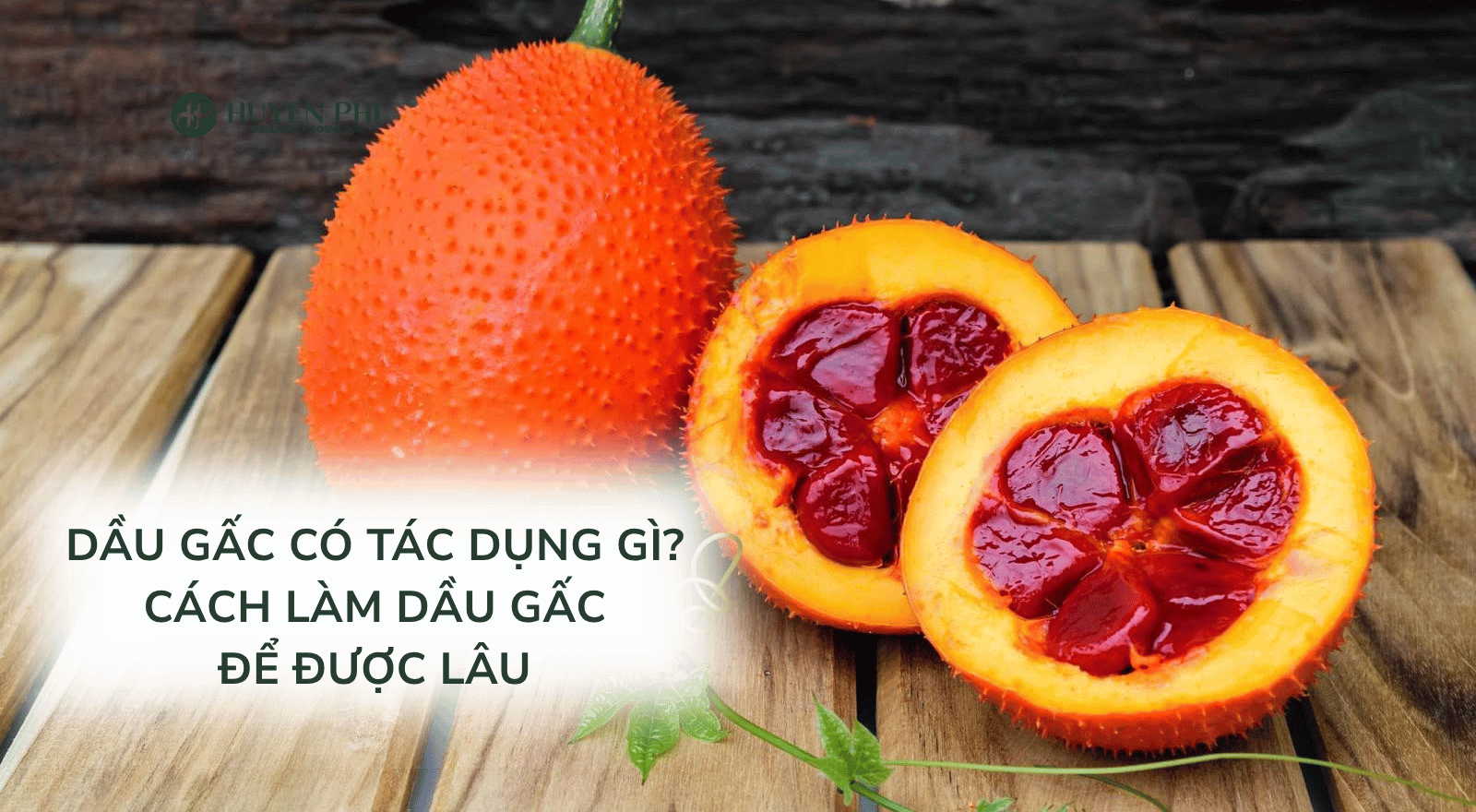 Dầu gấc có tác dụng gì? Cách làm dầu gấc để được lâu