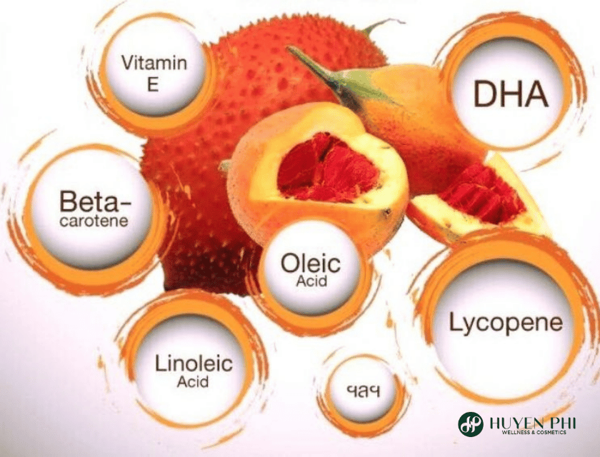 dầu gấc có tác dụng gì