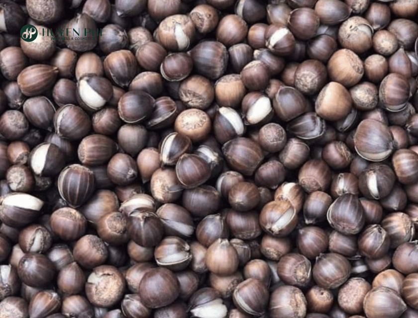 hạt dẻ rừng