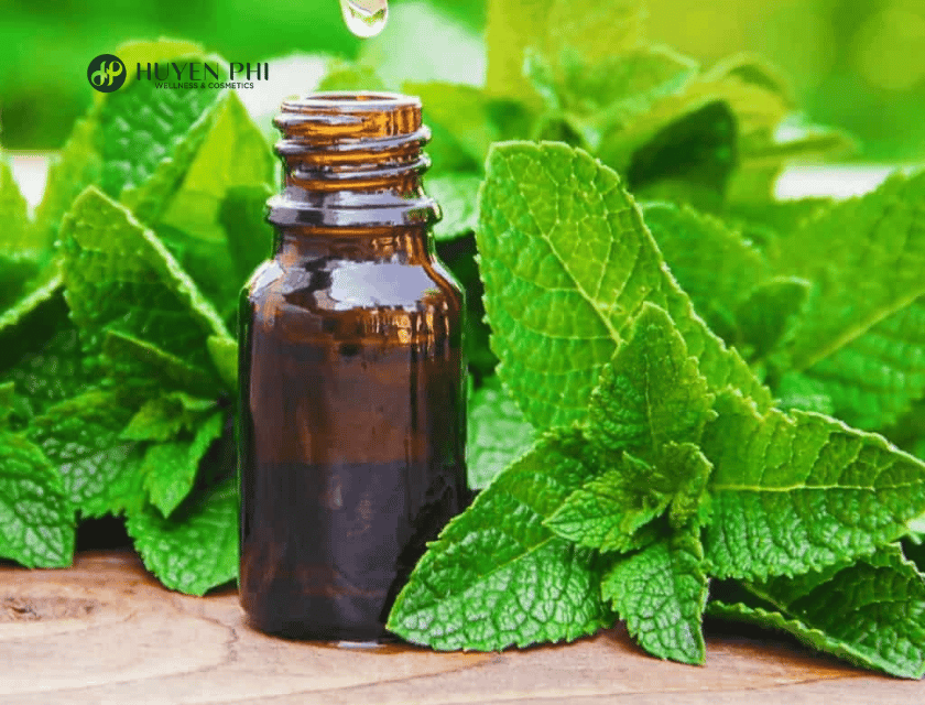 dầu bạc hà