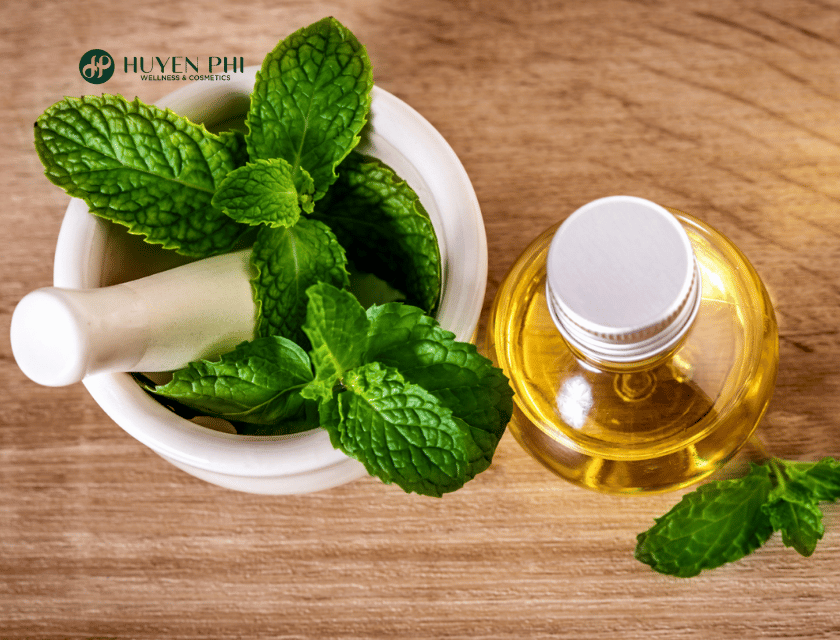 cách làm tinh dầu bạc hà
