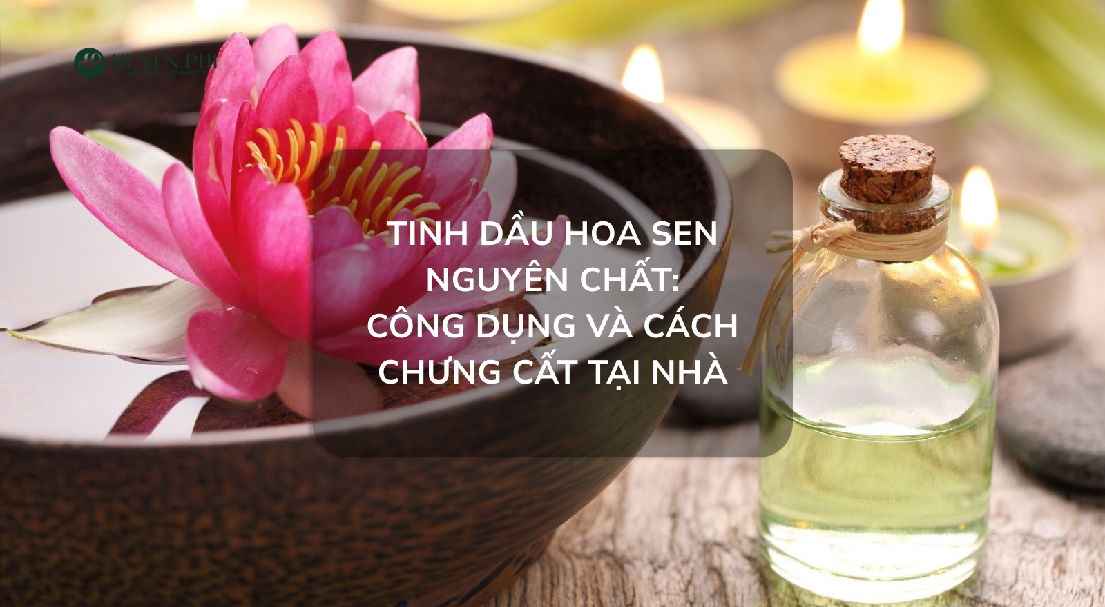 Tinh dầu hoa sen: công dụng và cách chưng cất tại nhà