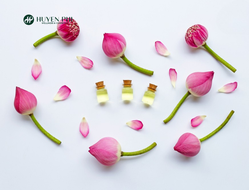 tinh dầu hoa sen nguyên chất