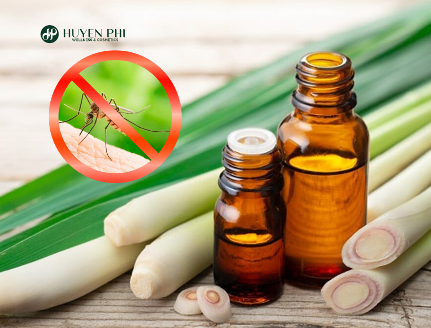 tinh dầu sả đuổi muỗi